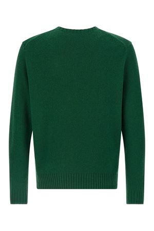 Green wool sweater RALPH LAUREN | 710978308001GREEN